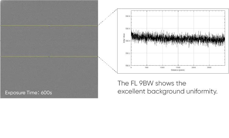 Better Quantitative Capability